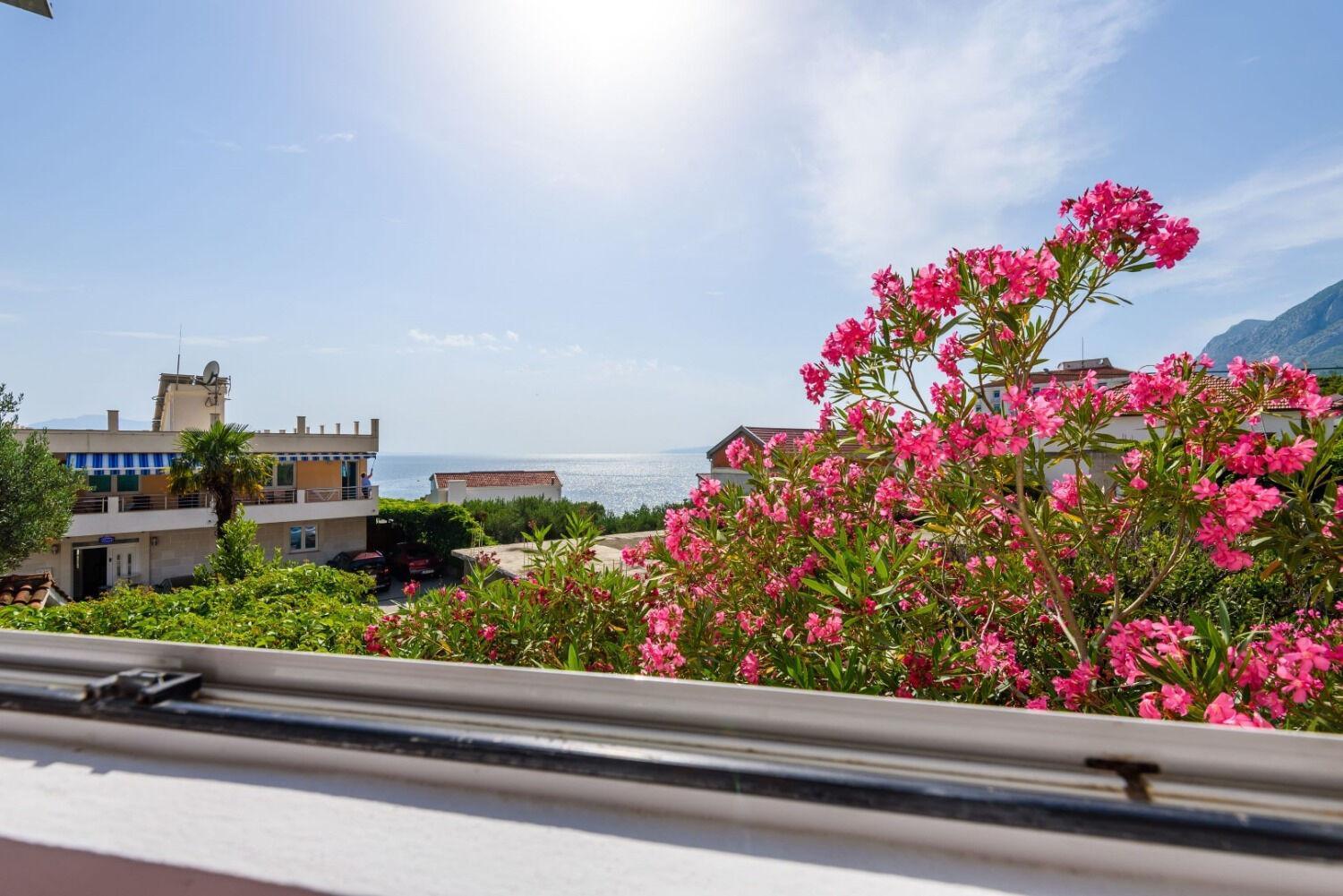 Apartments Goge Gradac  Luaran gambar